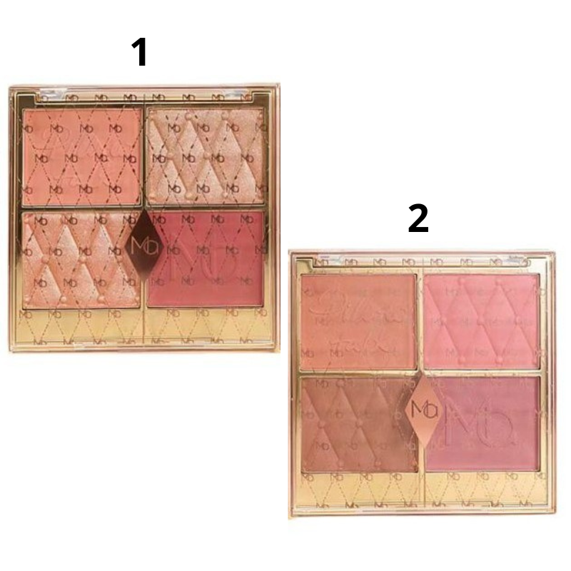 Palette viso con Blush e illuminanti